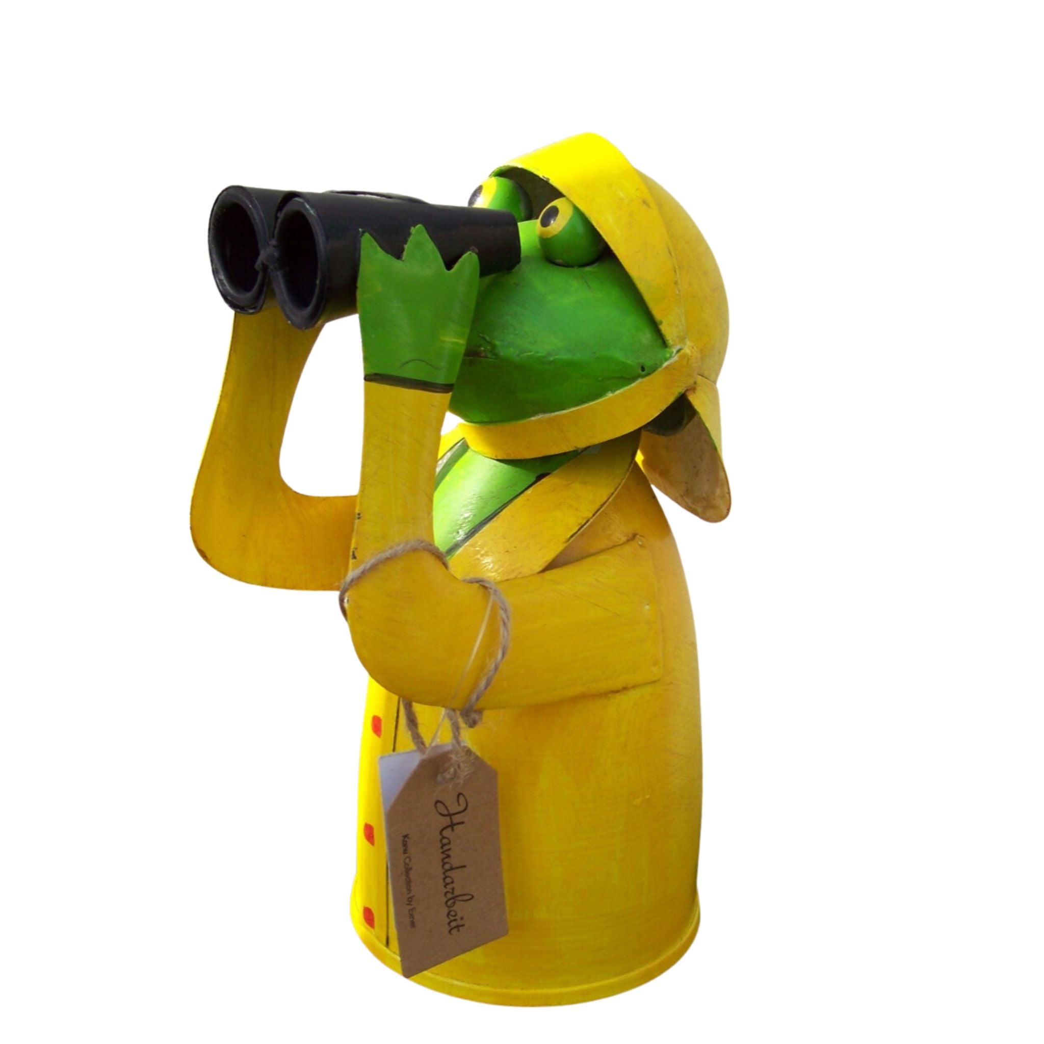 Zaunhocker Regen Frosch mit Fernglas