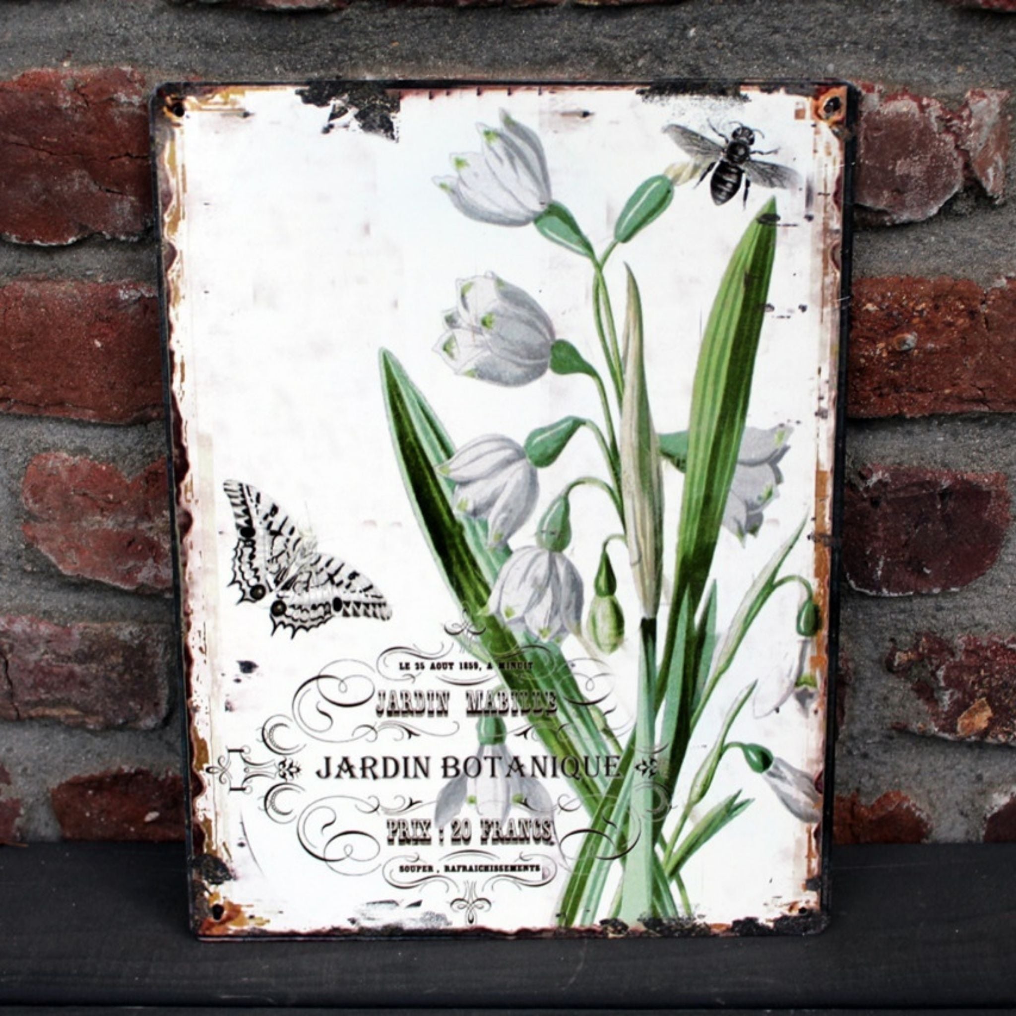 Shabby Blechschild Botanischer Garten Blumen Schmetterling