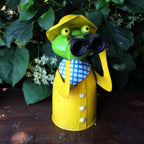 Zaunhocker Frosch Fernglas maritim