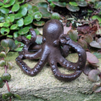 Tintenfisch Octopus Gusseisen