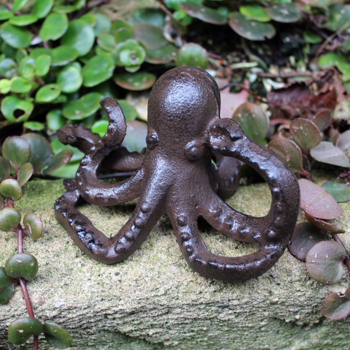 Tintenfisch Octopus Gusseisen