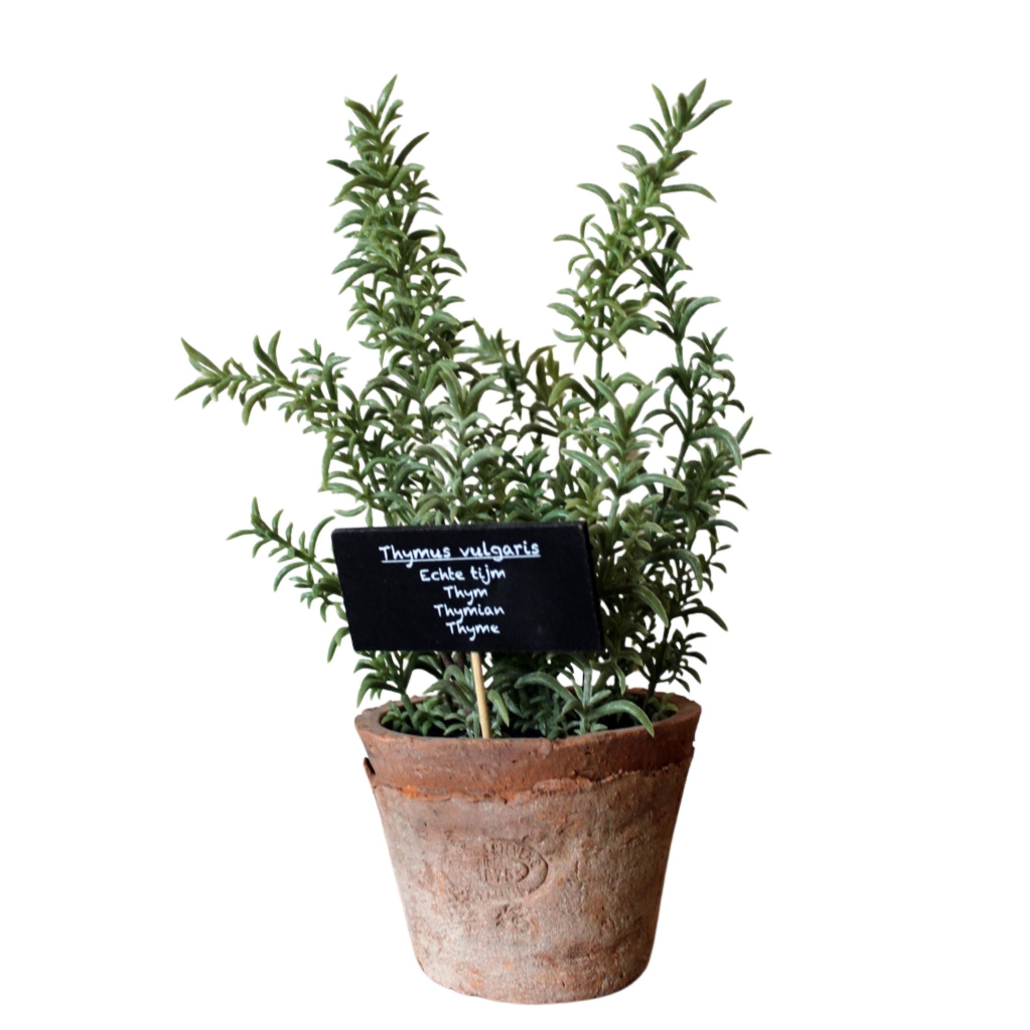 Kunstpflanze Thymian Aged Terracotta Topf Kunstblume