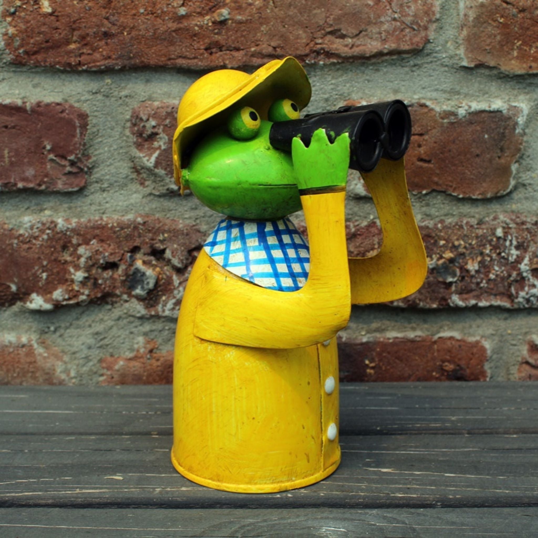 Zaunhocker Frosch Fernglas maritim