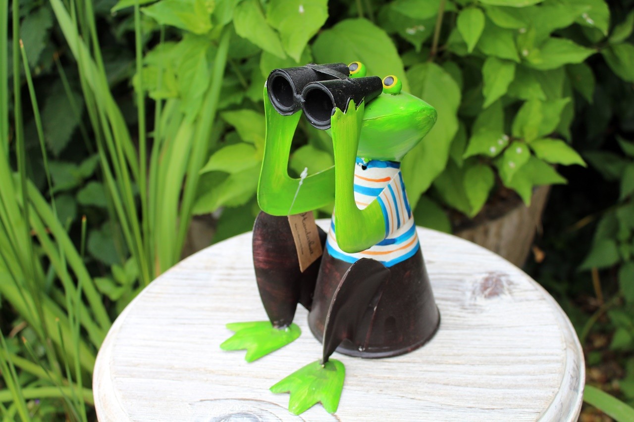 Zaunhocker Frosch mit Fernglas II