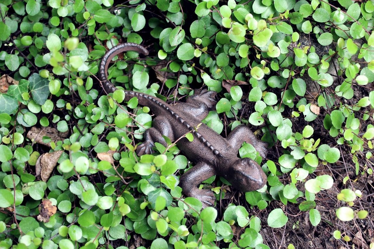 Gartenfigur Eidechse Gusseisen