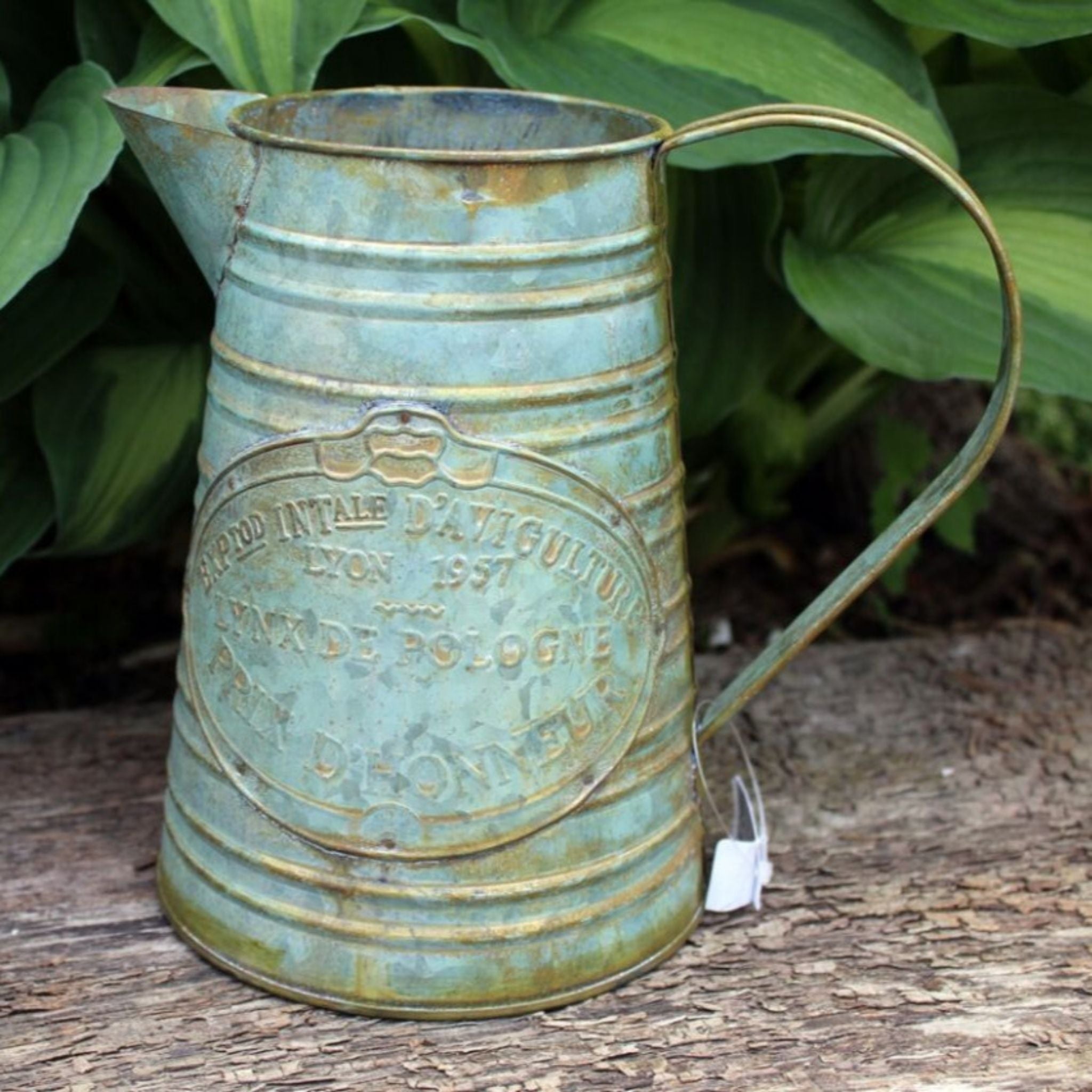 Shabby Deko Kanne Vase für Trockenblumen Rost