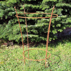 Staudenhalter Metall rost 60×77 cm – Pflanzstütze dekorativ