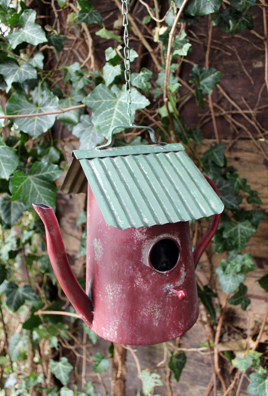 Vogelhaus Nistkasten Kanne