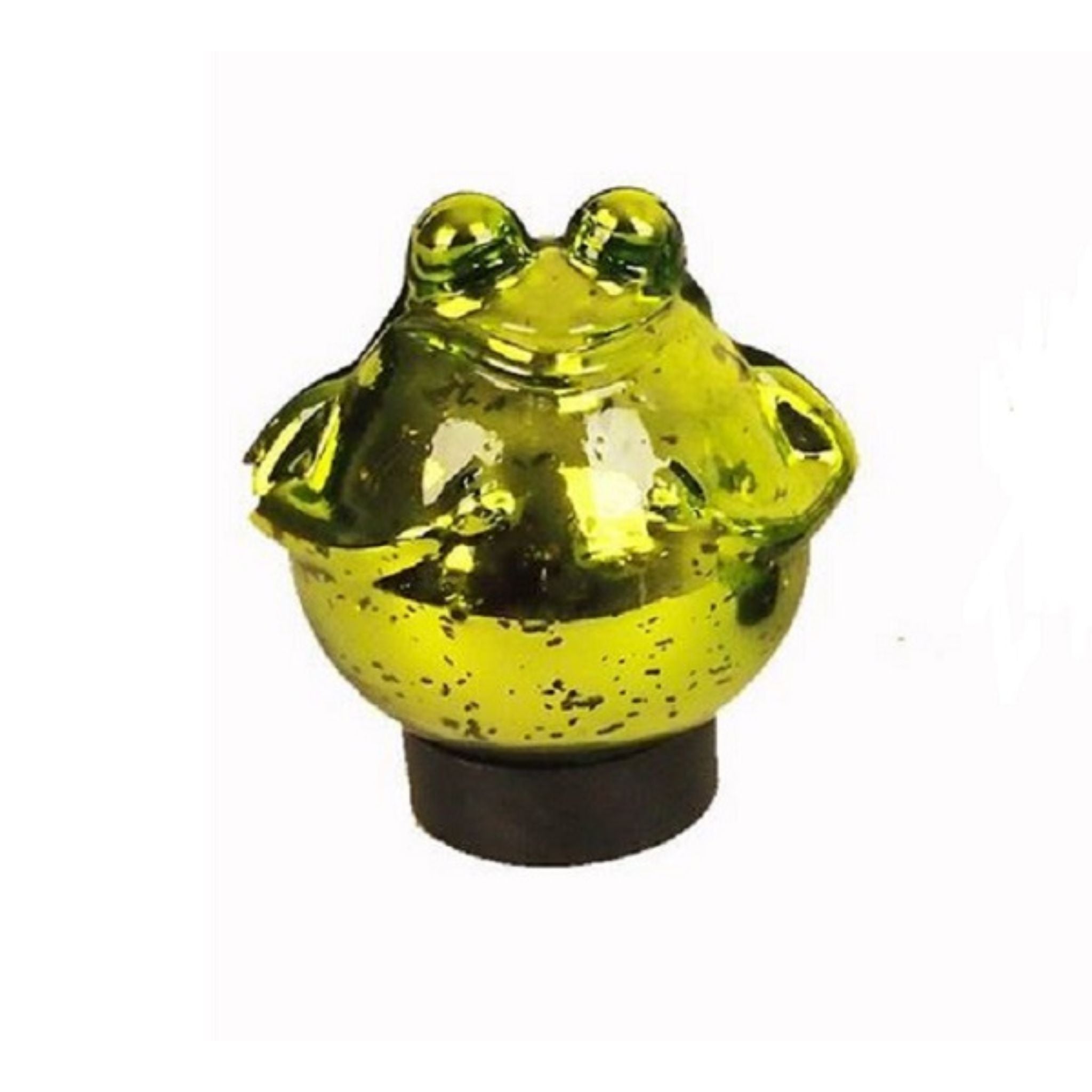 Schwimmfrosch grün glänzend klein