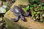 Schildkröte Gusseisen