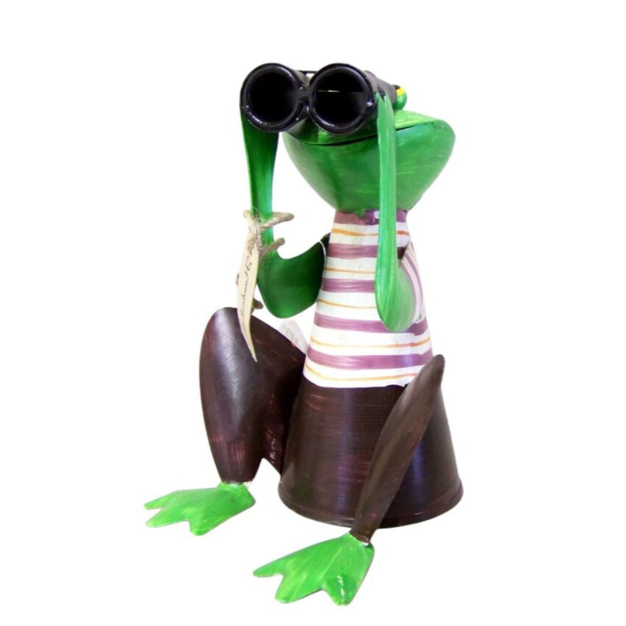 Zaunhocker  Frosch mit Fernglas