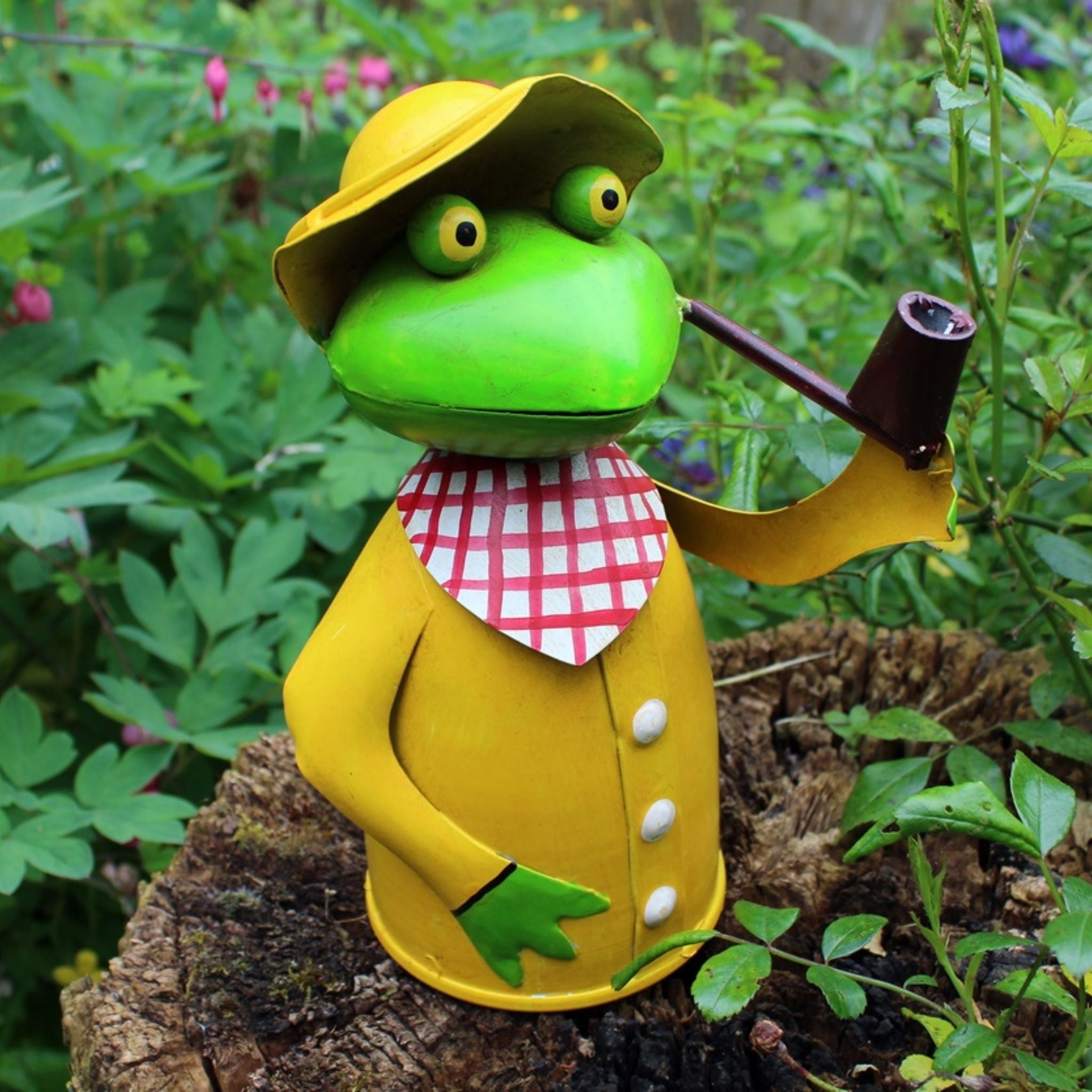 Zaunhocker Frosch mit Pfeife