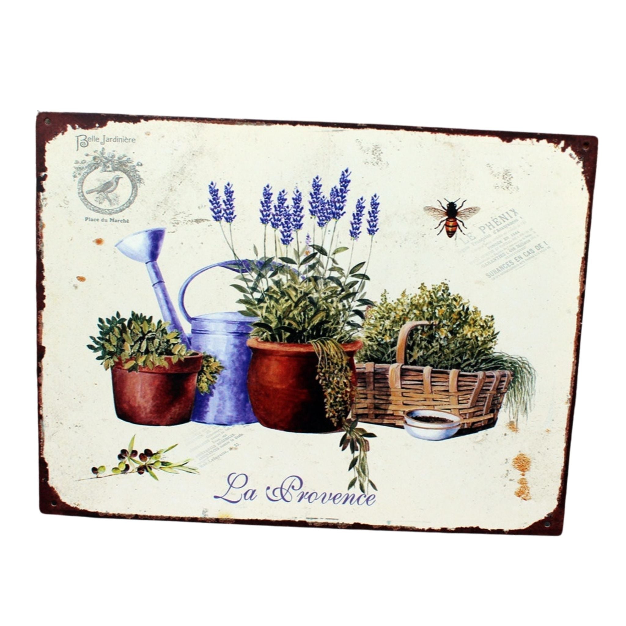 Shabby Blechschild Lavendel Gießkanne Blumentopf