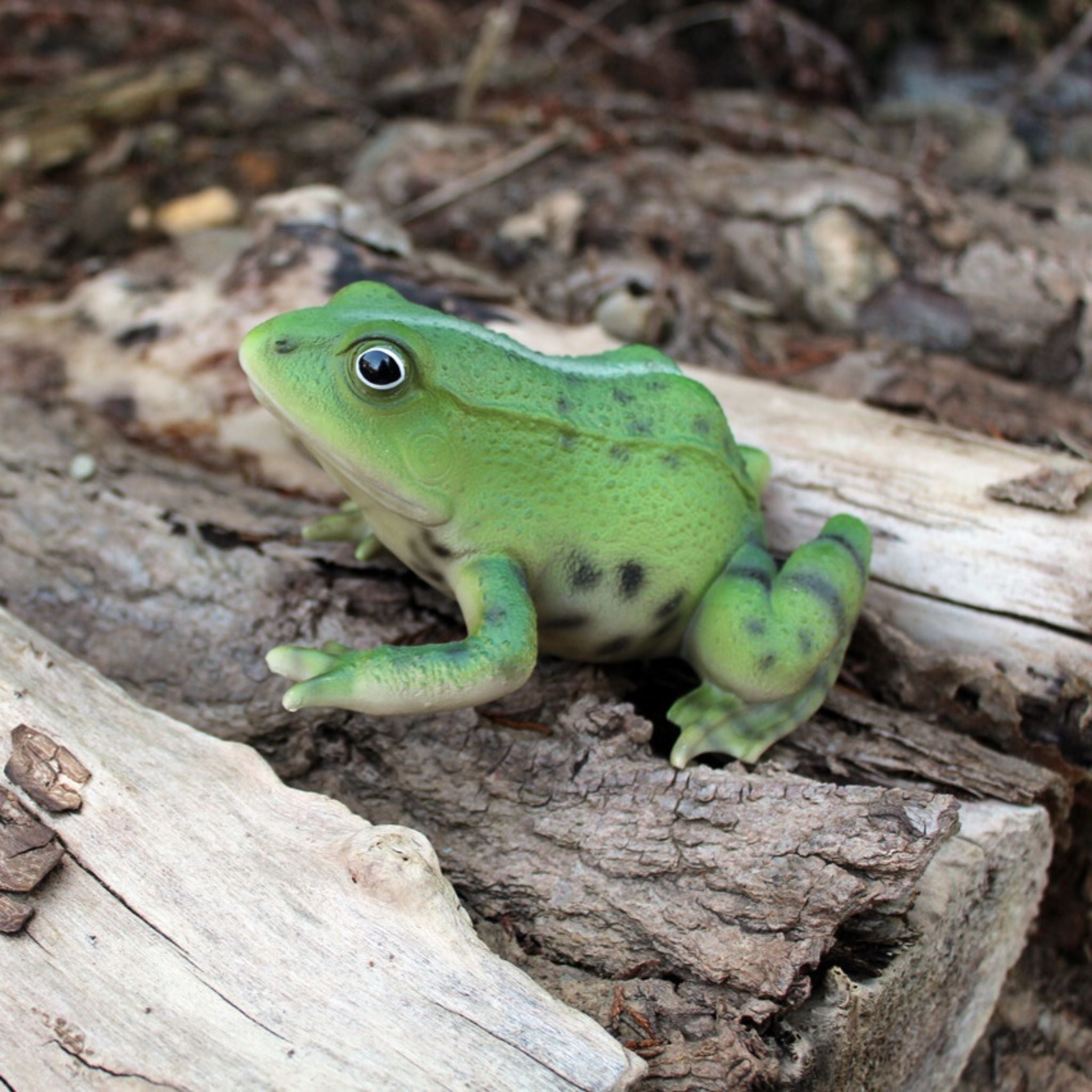Gartenfigur Frosch lebensecht