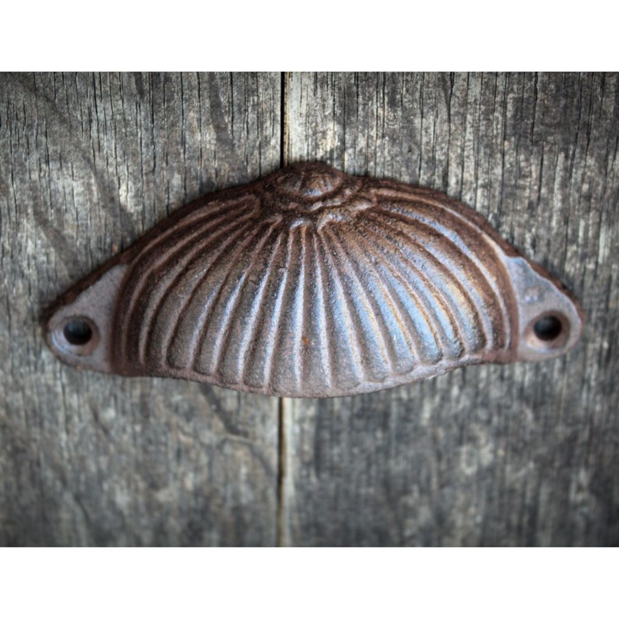 Handgriff Schubladengriff Muschel