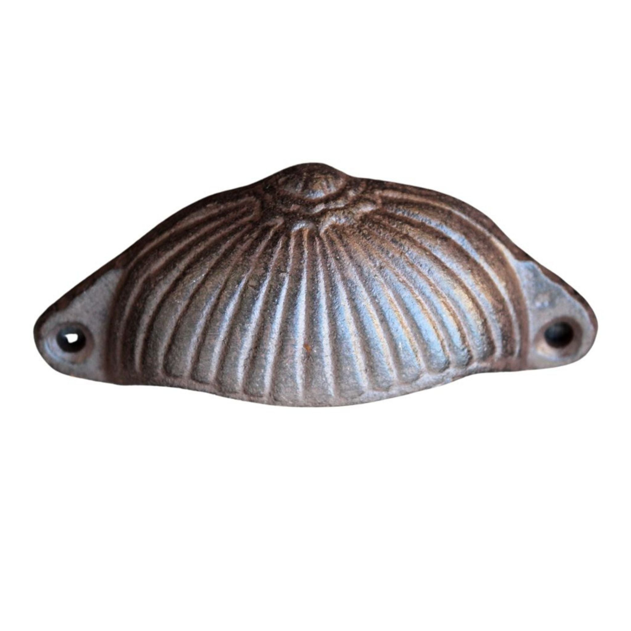 Handgriff Schubladengriff Muschel