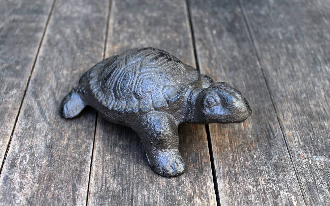 Gartenfigur Schildkröte Gusseisen L15cm