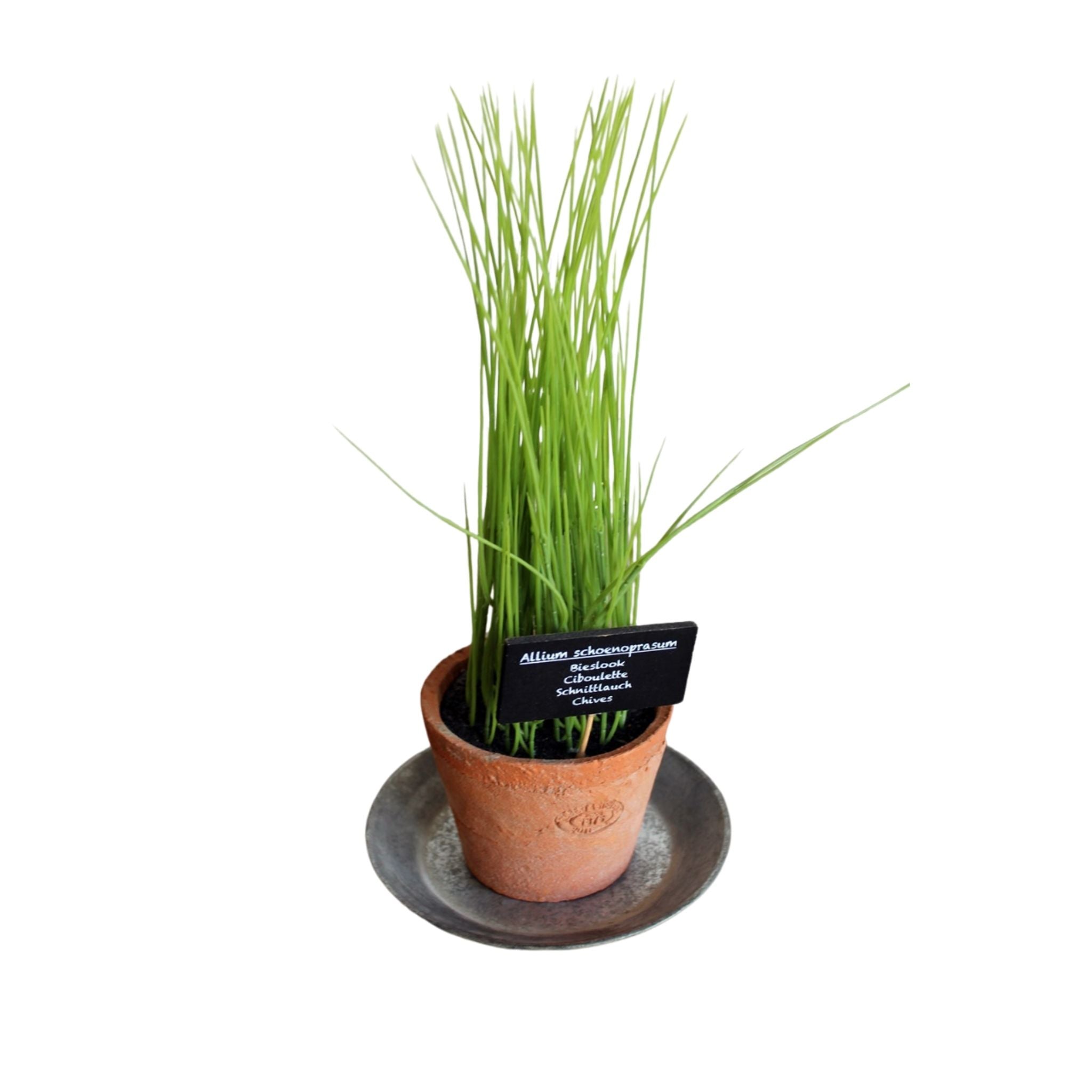 Blumentopf Untersetzer Metall