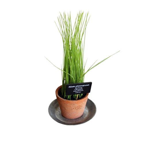 Blumentopf Untersetzer Metall
