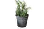 Zink Blumentopf Übertopf