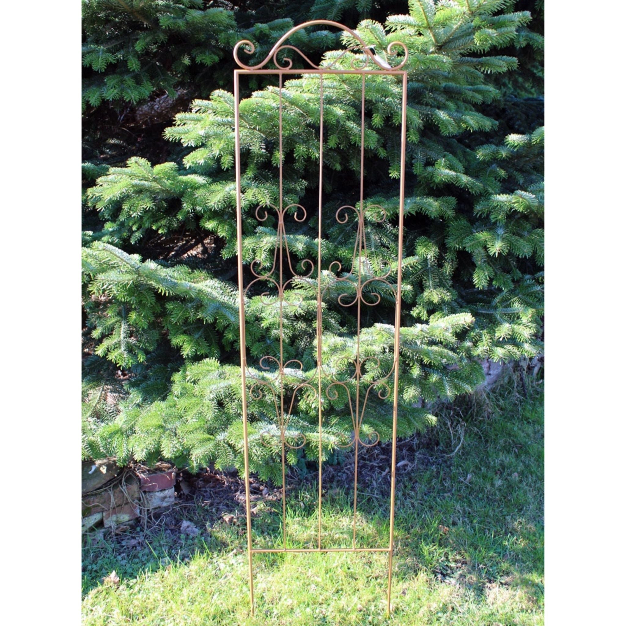 Rankgitter Metall rostfarben H150 x B37 cm – dekorative Kletterhilfe