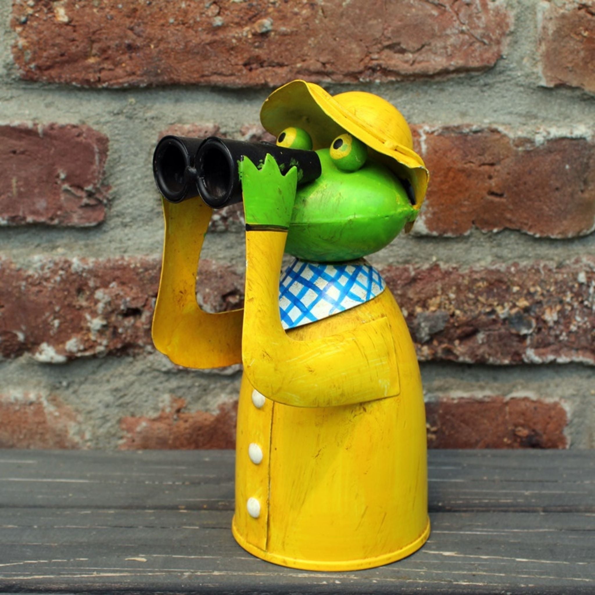 Zaunhocker Frosch Fernglas maritim