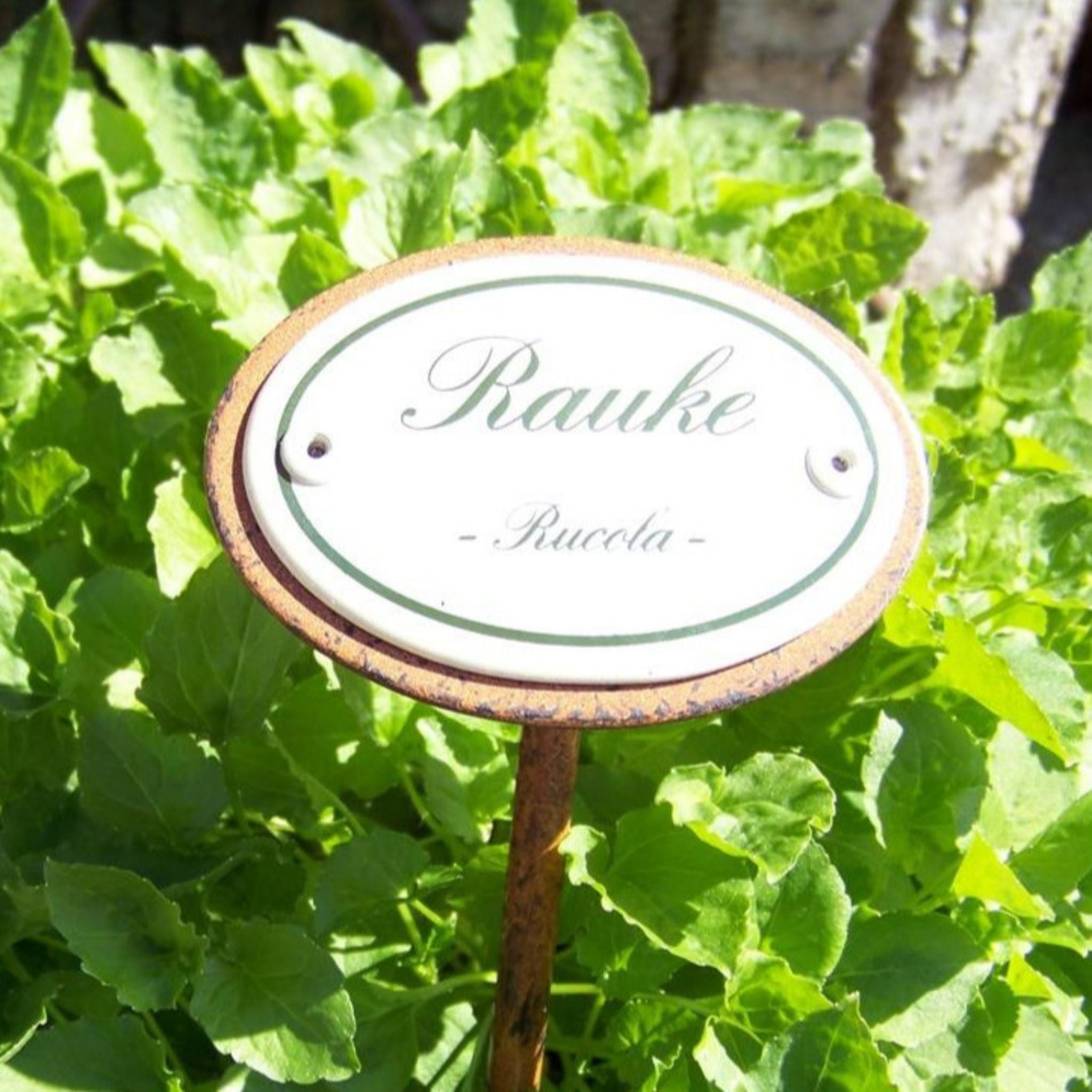 Kräuternamenschild Emaille Kräuterstecker Pflanzenstecker Auswahl treffen