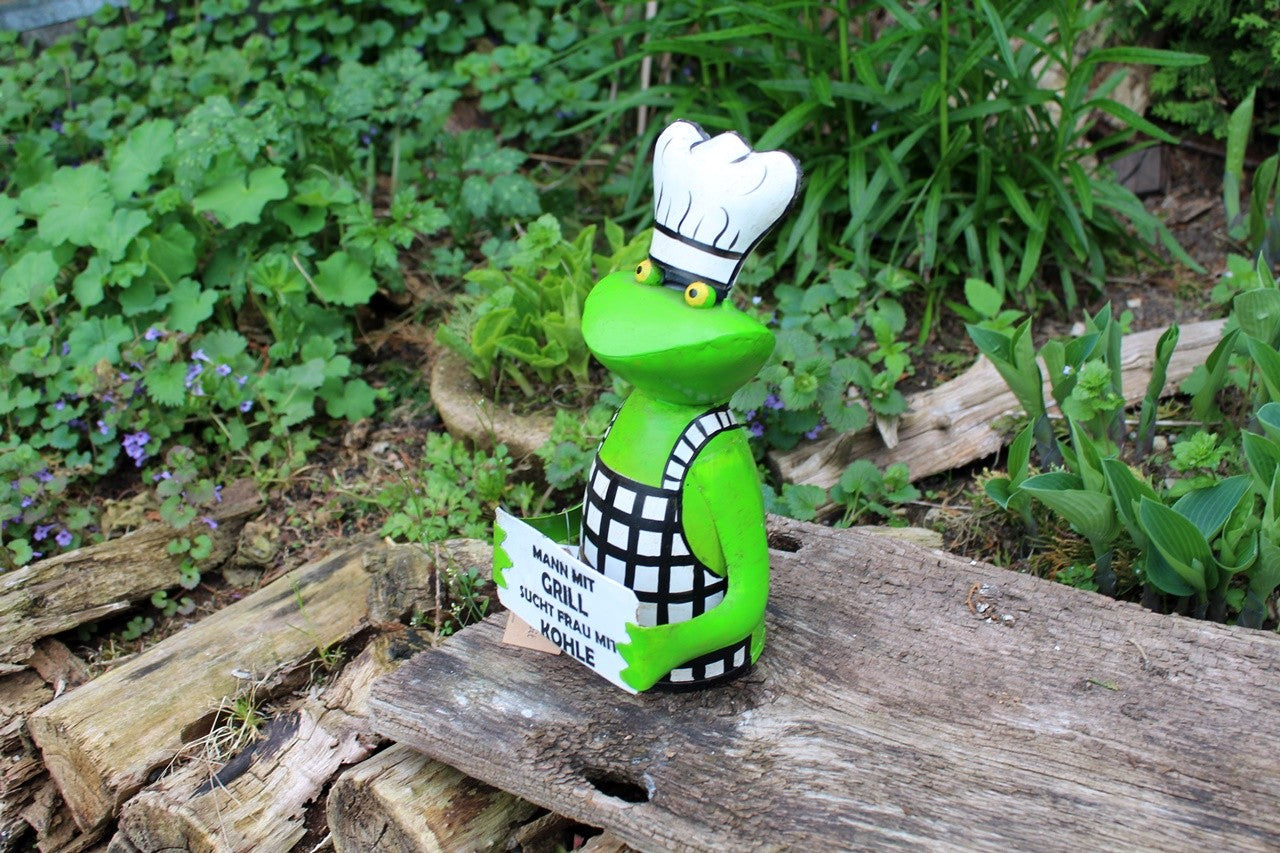 Zaunhocker Frosch Grill Kohle