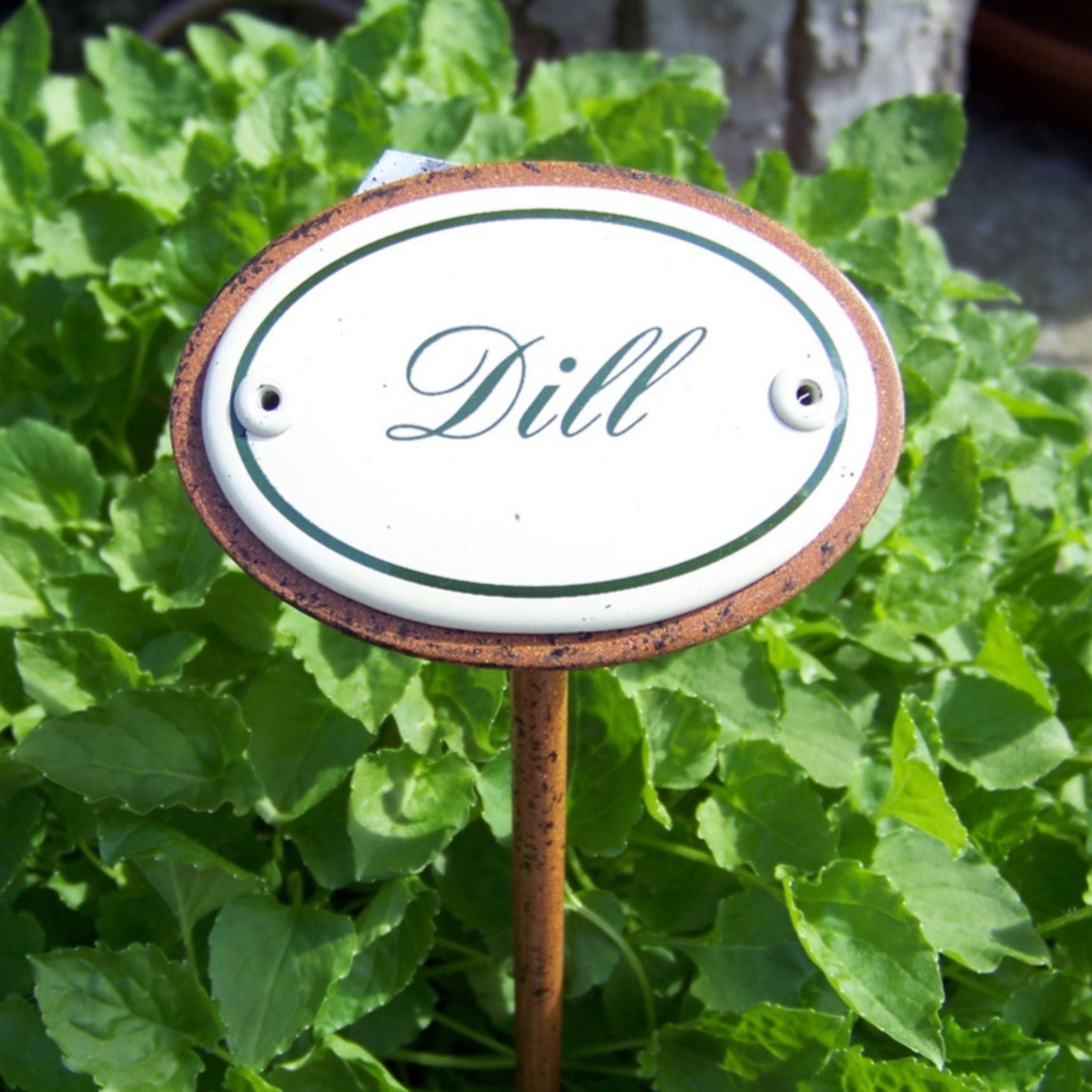 Kräuternamenschild Emaille Kräuterstecker Pflanzenstecker Auswahl treffen