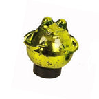 Schwimmfrosch grün glänzend klein