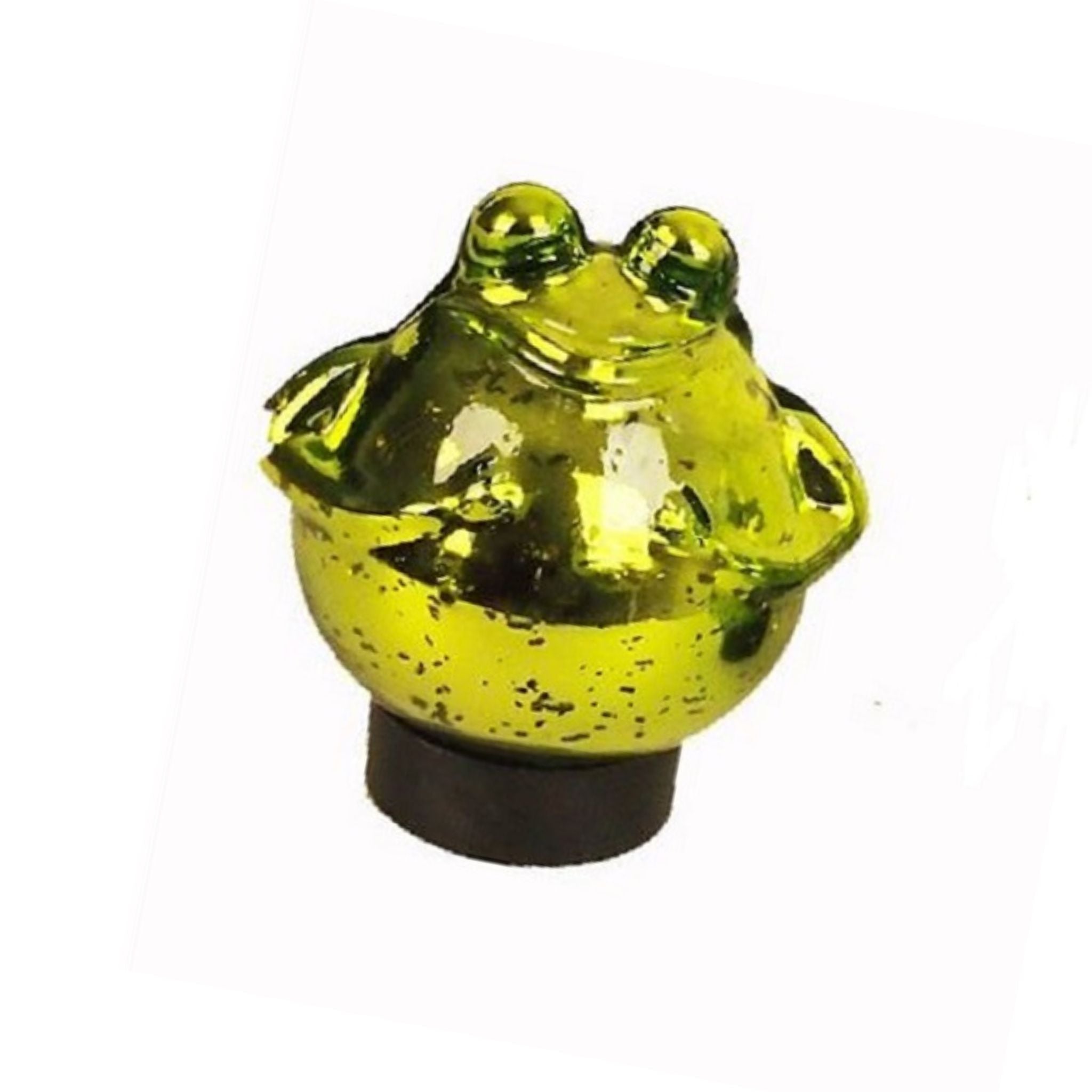 Schwimmfrosch grün glänzend klein