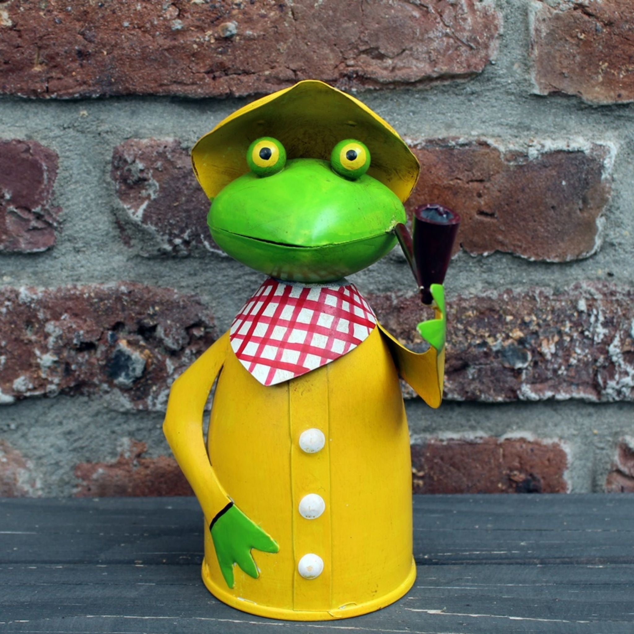 Zaunhocker Frosch mit Pfeife