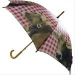 Taschen/Regenschirme