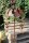 Rost Windspiel Katz und Maus