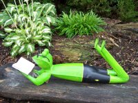 Gartenfigur Frosch Buch und Brille