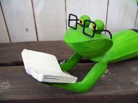 Gartenfigur Frosch Buch und Brille