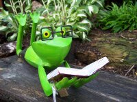 Gartenfigur Frosch Buch und Brille