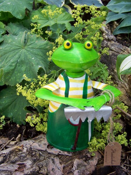 Zaunhocker Frosch mit Rechen