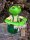 Zaunhocker Frosch mit Rechen