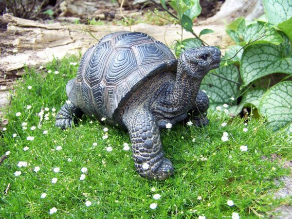 Dekofigur Schildkröte Gartenfigur