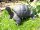 Dekofigur Schildkröte Gartenfigur