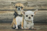 Fußmatte Chihuahua Duo