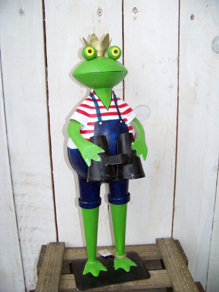 Gartenfigur Froschkönig mit Fernglas