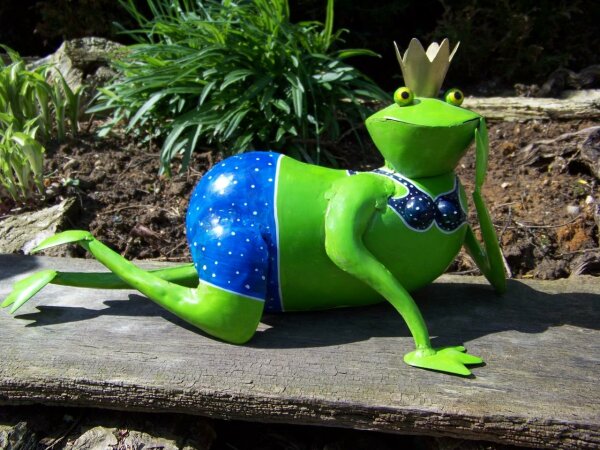 Gartenfigur Frosch Taucher Gartendeko Dekofigur schnorcheln Rettungsring 
