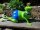 Gartenfigur Frosch Helga Bikini