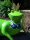 Gartenfigur Frosch Helga Bikini