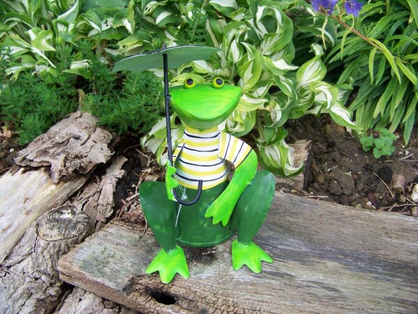 Zaunhocker Frosch mit Sonnenschirm