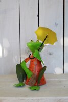 Frosch Zaunhocker bunt Schirm