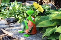 Frosch Zaunhocker bunt Schirm