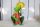 Frosch Zaunhocker bunt Schirm